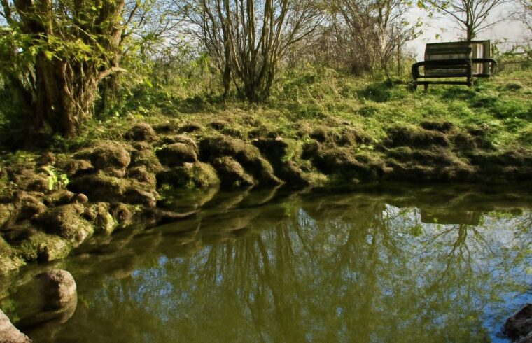 lake vs pond, difference between pond and lake
