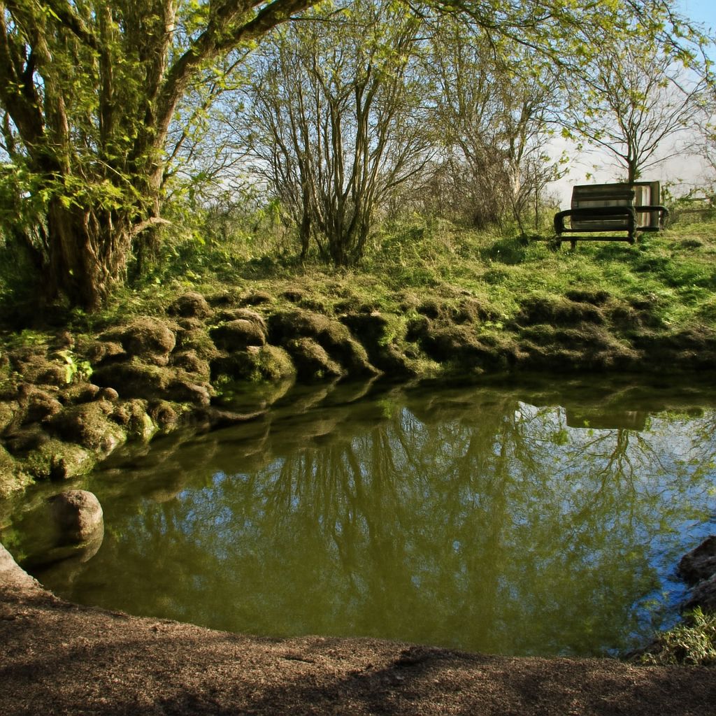 lake vs pond, difference between pond and lake